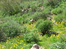 photo thumbnail #9