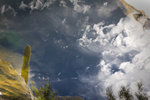 photo thumbnail #14