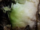 photo thumbnail #10