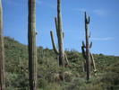 photo thumbnail #5