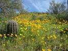 photo thumbnail #12