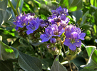 photo thumbnail #9