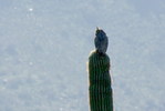 photo thumbnail #10