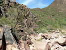 photo thumbnail #3