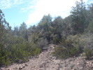 photo thumbnail #4
