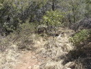 photo thumbnail #7