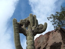 photo thumbnail #10