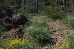 photo thumbnail #13