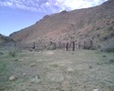 photo thumbnail #5