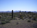 photo thumbnail #5