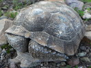 photo thumbnail #13