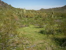 photo thumbnail #1