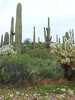 photo thumbnail #10