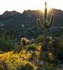 photo thumbnail #5