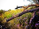 photo thumbnail #9