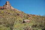 photo thumbnail #4