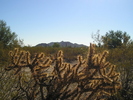 photo thumbnail #4