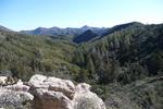 photo thumbnail #3