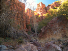 photo thumbnail #2