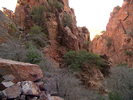 photo thumbnail #9