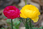 photo thumbnail #14