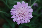 photo thumbnail #15