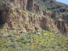 photo thumbnail #10
