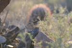 photo thumbnail #2