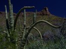 photo thumbnail #6
