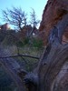 photo thumbnail #10