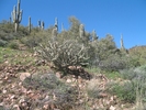 photo thumbnail #4