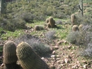 photo thumbnail #5