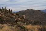 photo thumbnail #11
