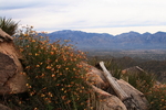 photo thumbnail #12