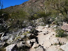 photo thumbnail #3
