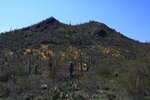 photo thumbnail #10