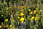 photo thumbnail #9