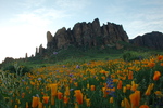 photo thumbnail #1