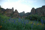 photo thumbnail #3