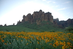 photo thumbnail #4