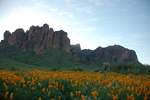 photo thumbnail #5