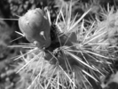 photo thumbnail #13