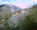 photo thumbnail #13