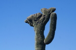 photo thumbnail #8