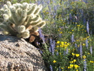 photo thumbnail #1