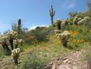 photo thumbnail #1