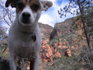 photo thumbnail #6