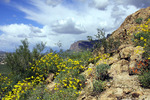 photo thumbnail #8