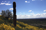 photo thumbnail #13