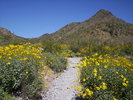 photo thumbnail #14